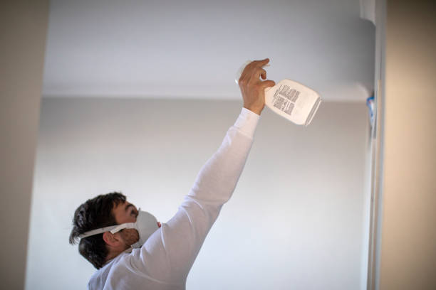Best Bathroom Mold Remediation in Bayport, MN